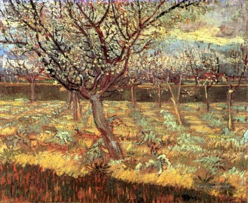 Vincent Van Gogh Werke - Aprikosen Bäume in der Blüte Vincent van Gogh